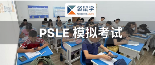 PSLE 1+1+1 Workshop --- 1 Hour Test + 1 Hour instant teach + 1 Personal Report