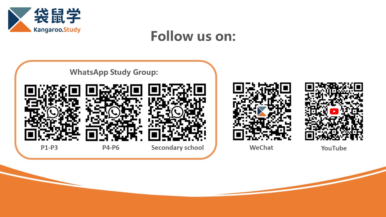 FOLLOW US.jpg