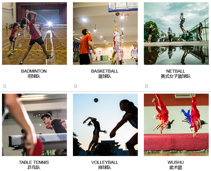 图片19.png