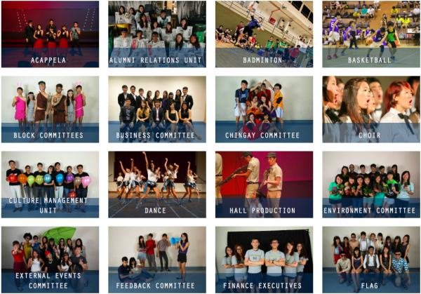 IMG_3078.PNG